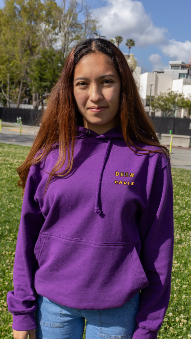 Deer.C hoodie Heavyweight-Pay in 4 interest of $13.25 with SHOP PAY